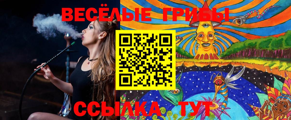 Галлюциногенные грибы ЛСД  где купить наркоту  Кандалакша  Вход с VPN 